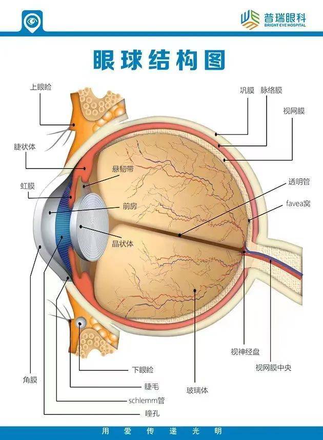 糖尿病如何祸害视网膜病？许泽骏副院长带您揭秘